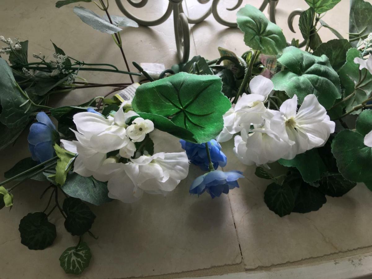 White House Bed And Breakfast 溫哥華 外观 照片